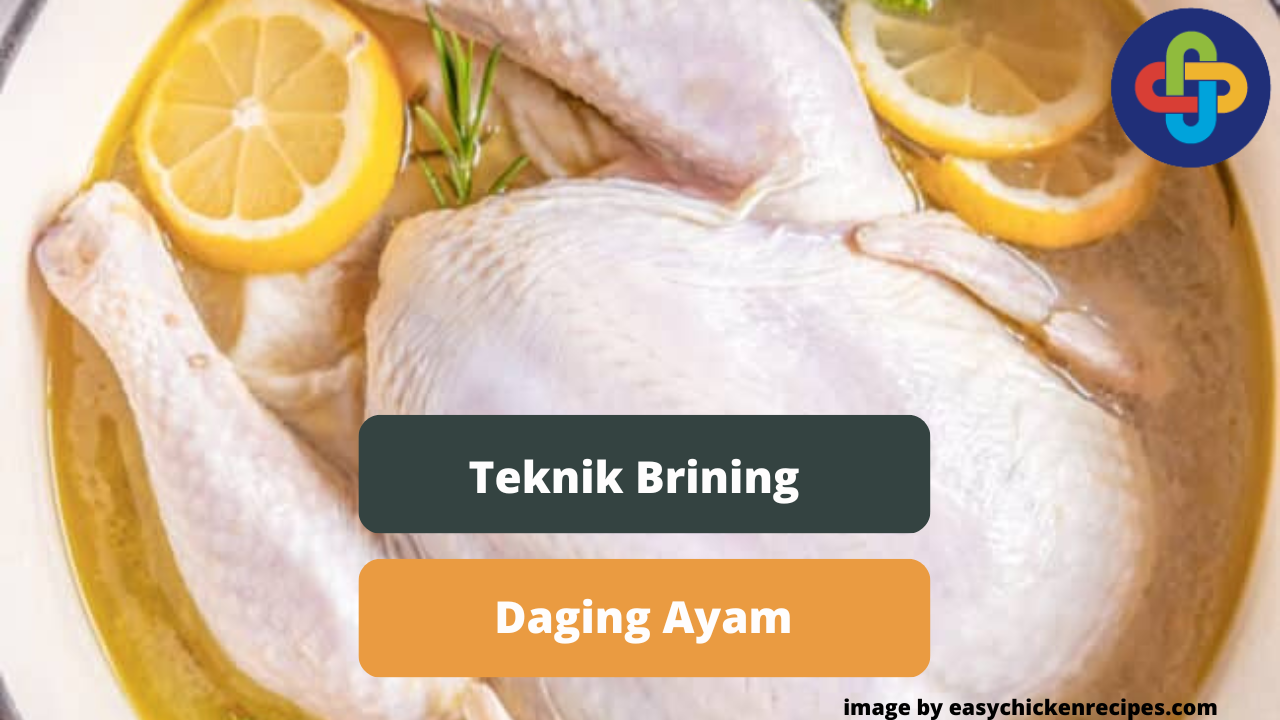 Berikut Ini Cara Melakukan Brining Daging Ayam